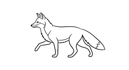 Fototapeta premium A beautifully detailed black and white line drawing of a fox walking gracefully