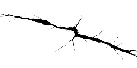 A delicate cherry blossom branch with spring flowers casts a black silhouette against a cracked wall featuring a deep hole and a jagged crack in the ground