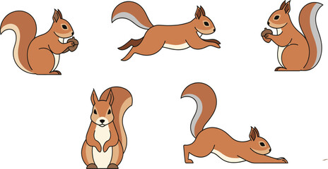 Cute Cartoon Squirrel Vector Set with Forest Rodent Running Standing and Holding Nut in Different Poses Isolated on White Background © MstSuborna