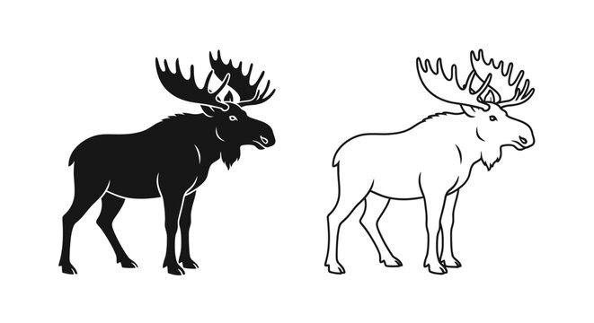 Two moose illustration: black and white moose drawing, wildlife art, nature sketch Vector