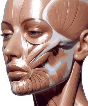 Create a realistic Skin rejuvenation and lifting after laser treatment 3D illustration vector art with white background.