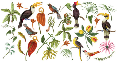 Tropical floral birds elements isolated with exotic jungle botanical illustration vintage © Yumeee