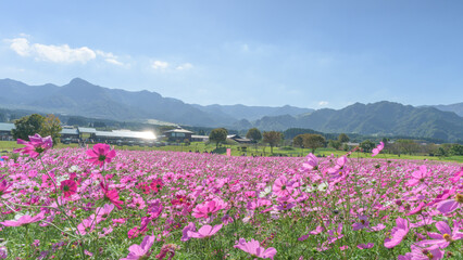 空と山と花に囲まれて。ここから始まる、心ほどける散策路。 南阿蘇村(あそ望の郷くぎの) Surrounded by the sky, mountains, and flowers. A relaxing walk begins here. Minamiaso Village (Asobo no Sato Kugino) © KOROKICHIKUN
