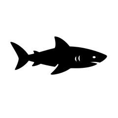 Obraz premium shark vector illustration