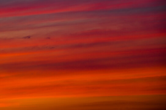 Red clouds in the sky, summer sunset, background	