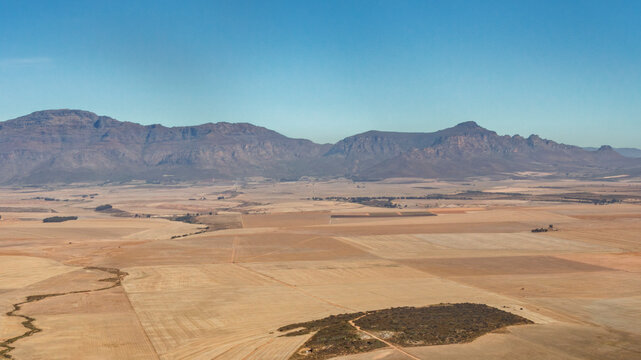 South Africa - Piketberg - Swartland farmlands - Wheat fields and distant Piketberg mountains
