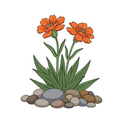 An illustration of two orange flowers on a plant with green leaves and rocks Vector