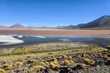 Red Laguna Colorada in the Bolivian Altiplano © Seraina