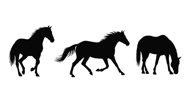 Silhouette of three horses one walking one trotting and one grazing