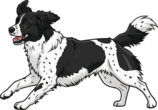  Stabyhoun dog running energetic playful movement illustration