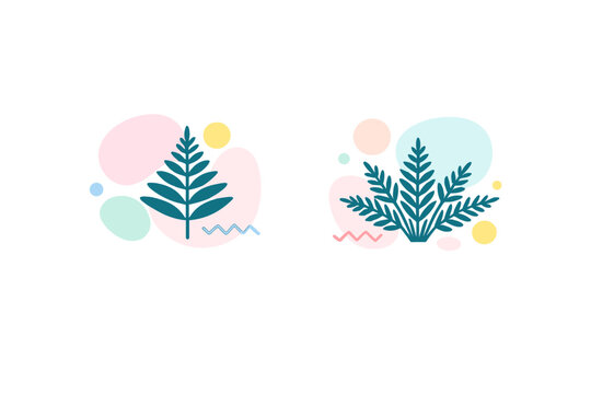 Two minimalist vector illustrations of teal fern leaves set against abstract pastel shapes and a solid black background. The design features a clean, modern aesthetic.