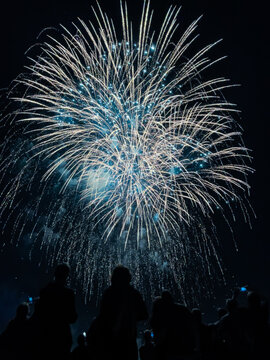 Fireworks Display over Crowd at Night During Celebration