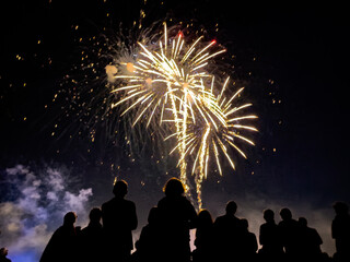 Fireworks Display over Crowd at Night During Celebration