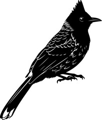 Bulbul Bird silhouette vector illustration