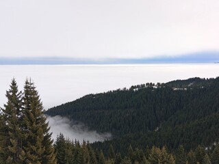 fog over the mountains