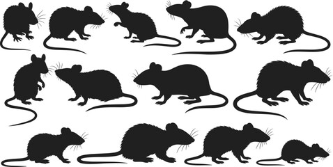 Rat silhouette collection, mouse rodent poses set, black animal shapes, pest control wildlife vector illustration isolated
