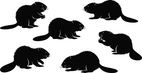 Beaver silhouettes collection, wildlife vector set, animal illustration, black icons, nature pictograms, rodent design graphics, ecology art, forest shapes © Hey World