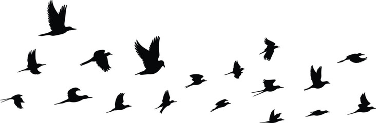 Obraz premium Flying bird silhouette flock, black wildlife birds in motion across sky, minimal nature illustration set, isolated vector design