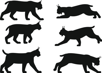 Lynx wild cat silhouettes collection, stalking and running feline poses, black predator animal illustration set, isolated vector design © Hey World