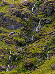 The sound of water echoes through the natural terrain. Natures artwork, water carving through green and stone.