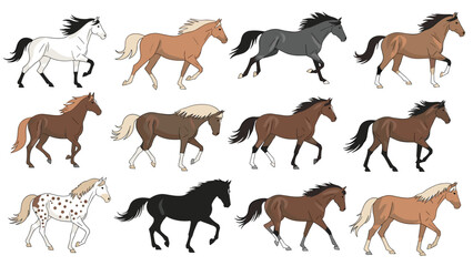 Obraz premium Grid of twelve horses of different breeds and colors like white, black, brown, and spotted are shown in a mid run or galloping pose.