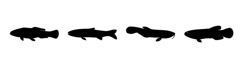 Snakehead Fish Silhouettes Set, Black Vector Illustration on White Background, Flat Design