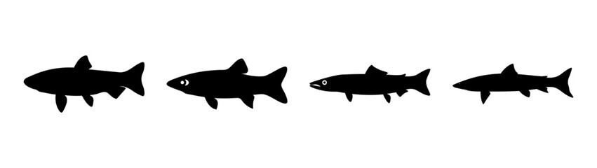 Obraz premium Set of Barracuda Silhouettes in Flat Design Vector Illustration