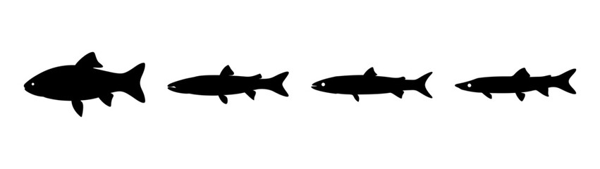 Obraz premium Barracuda Fish Silhouettes in Flat Design Vector Illustration