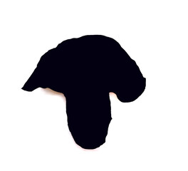 Grafik Pilz schwarz wei&szlig;