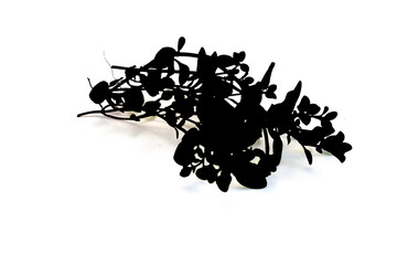 Florale Grafik schwarz wei&szlig;