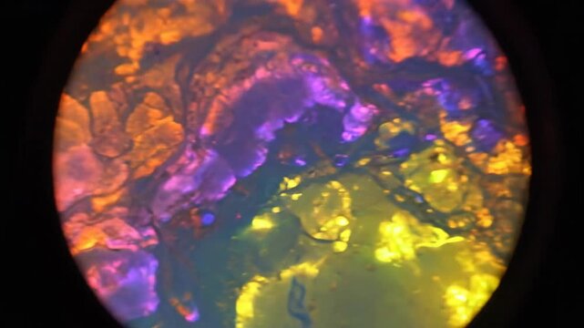 Opal Gemstone Displays Shifting Rainbow Hues Under Magnification