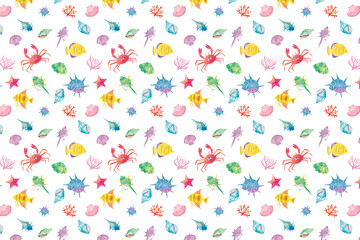 Obraz premium 貝と魚の背景イラスト