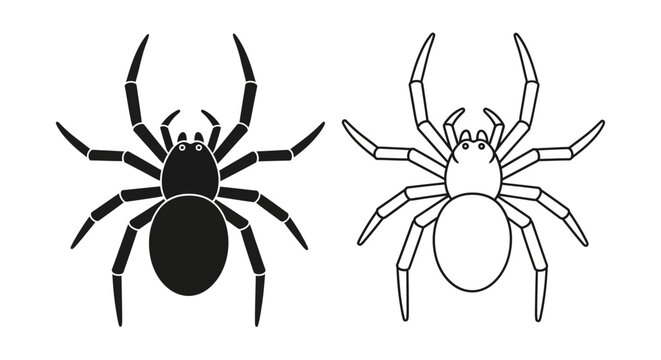 Black spider drawing illustration vector art graphic design Vector