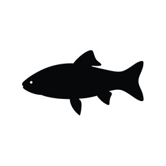 Obraz premium Black Barracuda Silhouette Isolated on White Background vector illustration