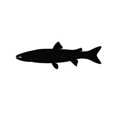 Fototapeta premium Black barracuda fish swimming isolated vector illustration flat design scalable art