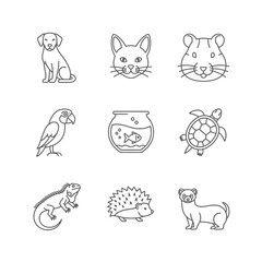 Obraz premium Pet shop linear icons set. Domestic animals thin line illustrations. Dog, cat, hamster, parrot, fish, turtle, iguana, hedgehog, ferret. Isolated outline drawing