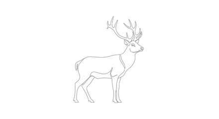 Obraz premium Line Drawing of Deer with Antlers.