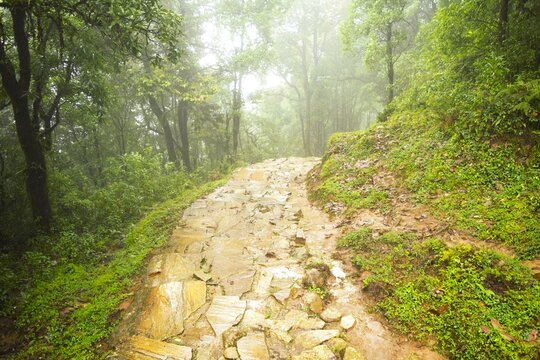 Himalaya trail (Annapurna range) in Nepal in summer