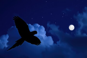 Silhouette of a bird soaring beneath a luminous moonlit sky with scattered clouds