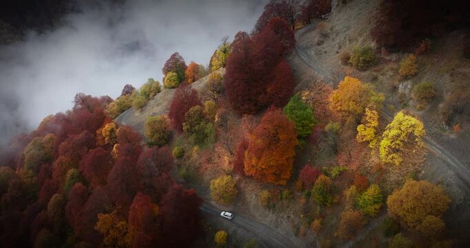 White car driving through autumn colors in Abano Pass, Georgia; panoramic drone shot gliding downwards over misty mountain slopes and colorful trees.