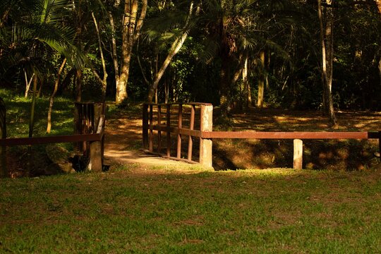 Gramado, ponte em floresta tropical. 
