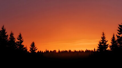 Sunset over a dark forest silhouette with a vibrant gradient sky