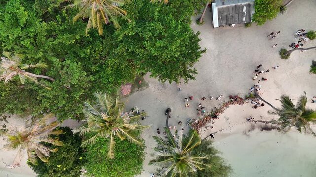 Roket Shot with aerial drone in the beach