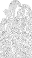Technical vector illustration of a lush tropical wall mural, featuring dense banana leaves in detailed line art, ideal for interior design © Riki