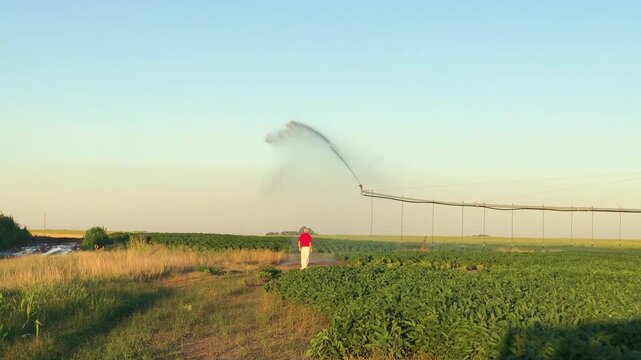 Farmer Watching Agricultural Irrigation System in Green Crop Field a Clear Blue Summer Day in RUral Countryside, Argentina