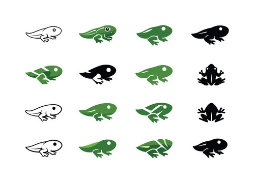 Tadpole」の写真素材 | 19,943件の無料イラスト画像 | Adobe Stock