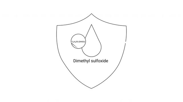 Dimethyl Sulfoxide Shield - Chemical Compound Protection Visual.