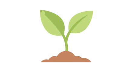 Young Green Plant Growing Out Soil.