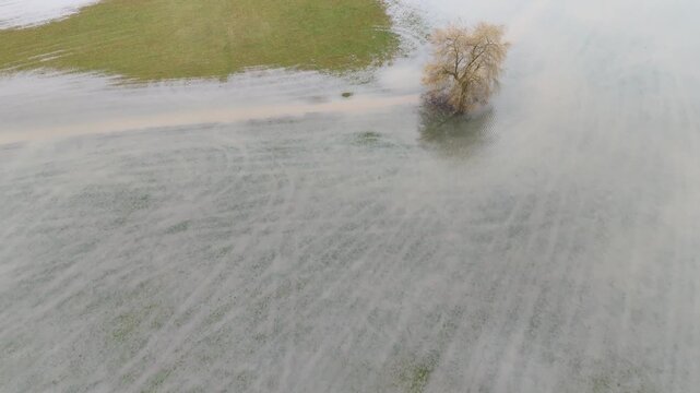 Lone Tree in Flooded Field Aerial View