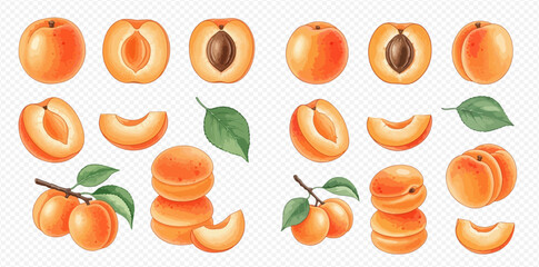 Realistic Apricot Collection: Whole, Halved, Sliced Fruits with Leaves and Branches on Transparent Background. © Akun